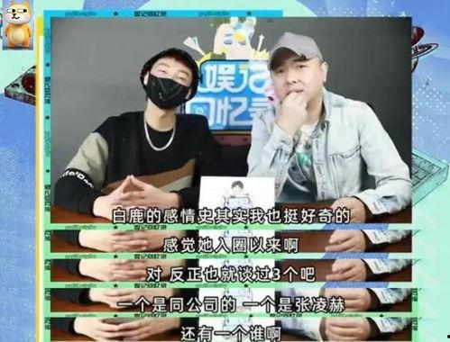 大锤爆料白鹿视频在线观看